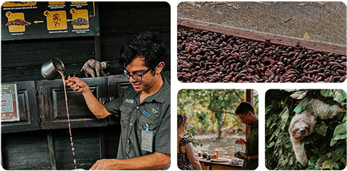 About our Coffee & chocolate farm in la fortuna, Costa Rica